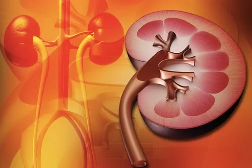 Supreme Kidney Care - Photo 6