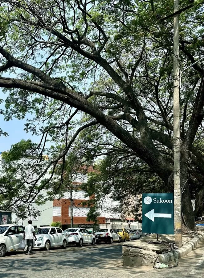 Sukoon Psychiatry Centre - Bengaluru, Mental Health Hospital & Rehab - Photo 8