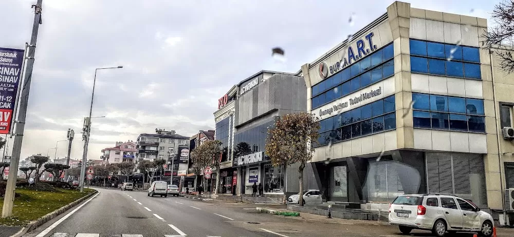 Prof. Dr. Osman Haldun Develioğlu - Bursa Tüp Bebek - Photo 2