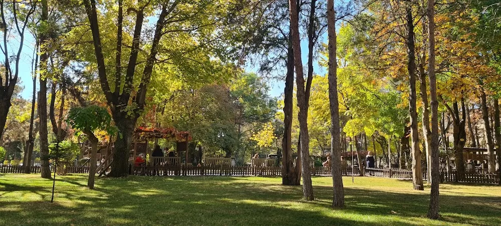 Ankara Universitesi Tıp Fakültesi Cebeci Çocuk Hastanesi - Photo 4