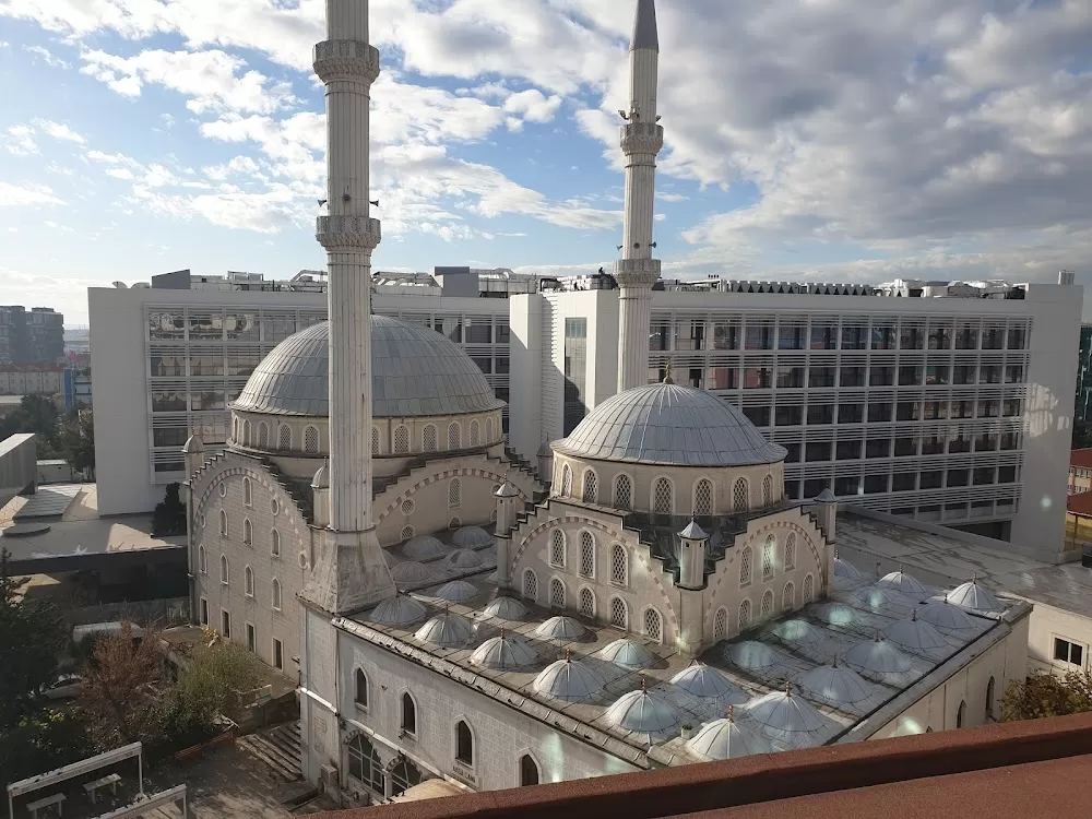 Prof.Dr. Cihangir AKGUN Çocuk Nefrolojisi - Photo 8