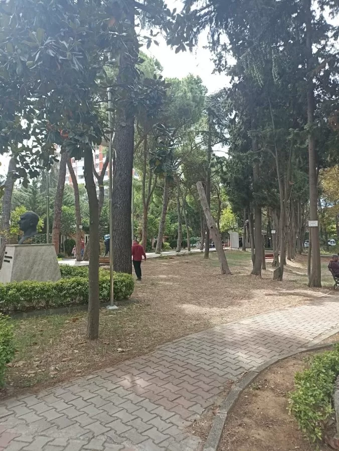 İstanbul Erenköy Ruh Ve Sinir Hastalıkları Eğitim Ve Araştırma Hastanesi - Photo 7