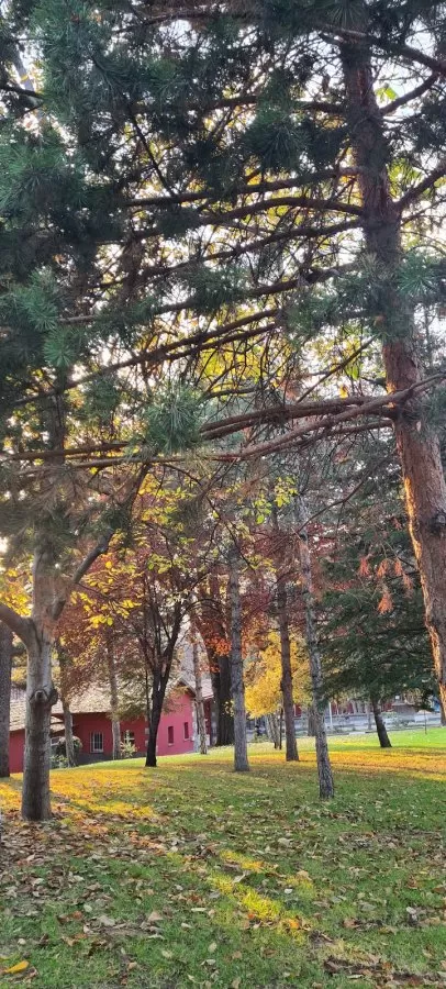 Ankara Universitesi Tıp Fakültesi Cebeci Çocuk Hastanesi - Photo 1