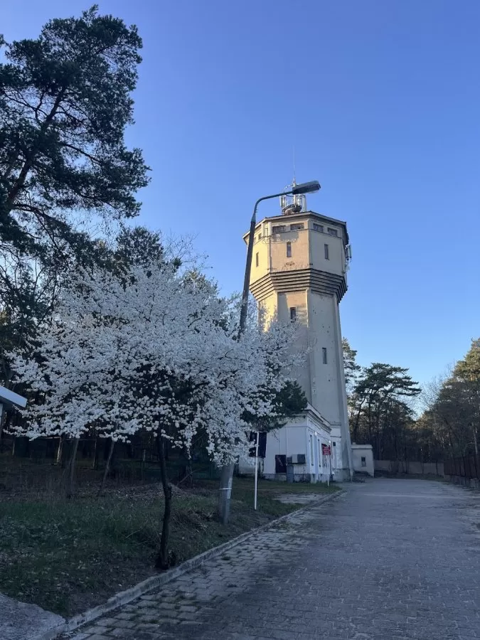 Mazowieckie Centrum Leczenia Chorób Płuc i Gruźlicy - Photo 3