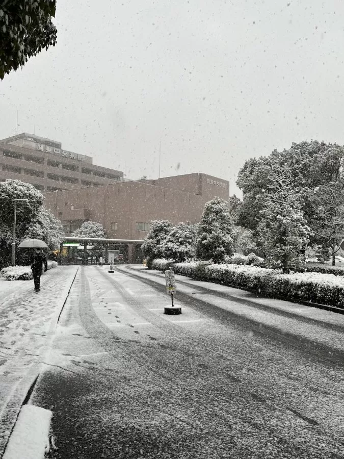 Kantō Central Hospital of the Mutual Aid Association of Public School Teachers - Photo 6