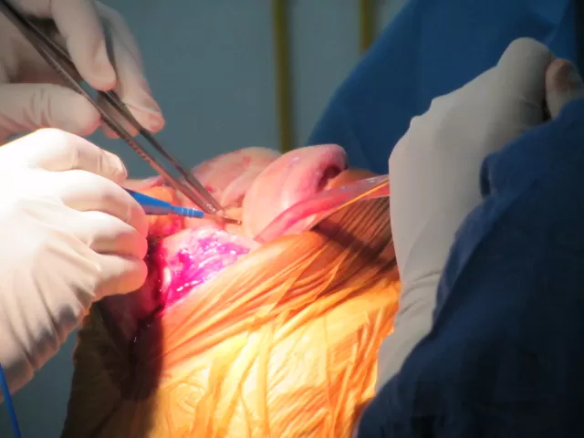 Optimus Hospital - Photo 6