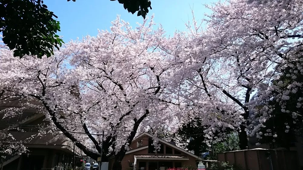 Tokyo Musashino Hospital - Photo 5