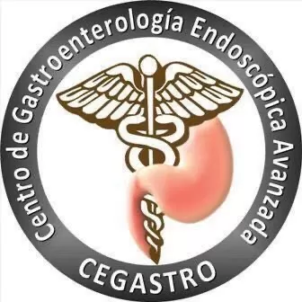 Cegastro - Photo 3