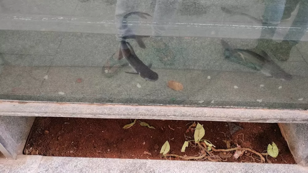 Ankura Hospital for Women & Children - Kompally - Photo 4