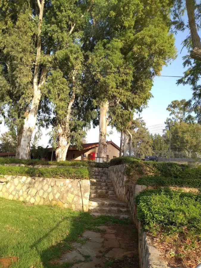 Mental Health Center in Be'er Ya'akov - Photo 5