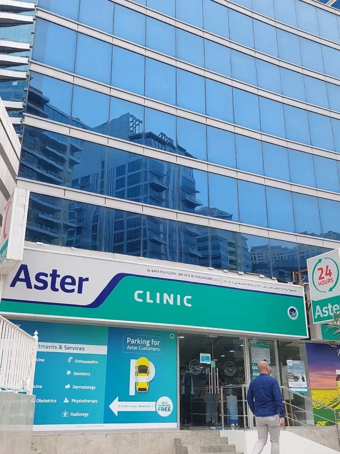 Aster - Photo 4