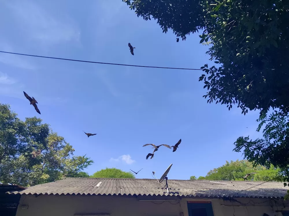Vikiran upchar vibhag, kaman aspatal - Photo 1