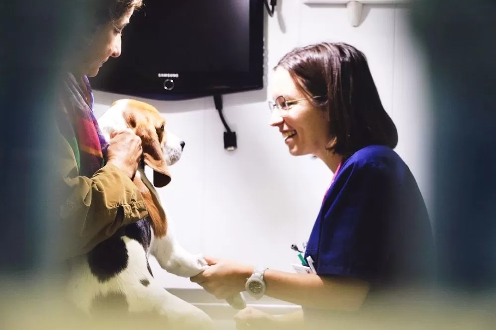 AniCura Velázquez Hospital Veterinario - Photo 8