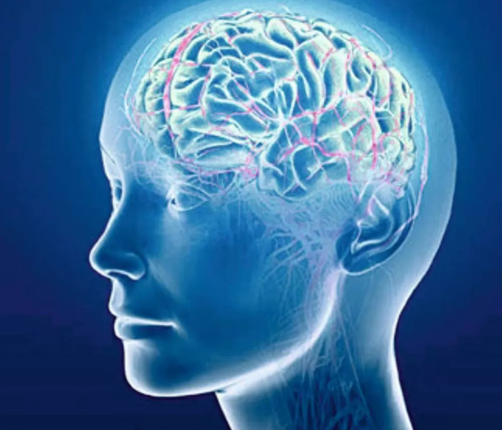 Ponda's Psychiatric Care - City Branch | Since 1982 | Depression | Anxiety | Schizophrenia | Addictions | Sexual Problems - Photo 3
