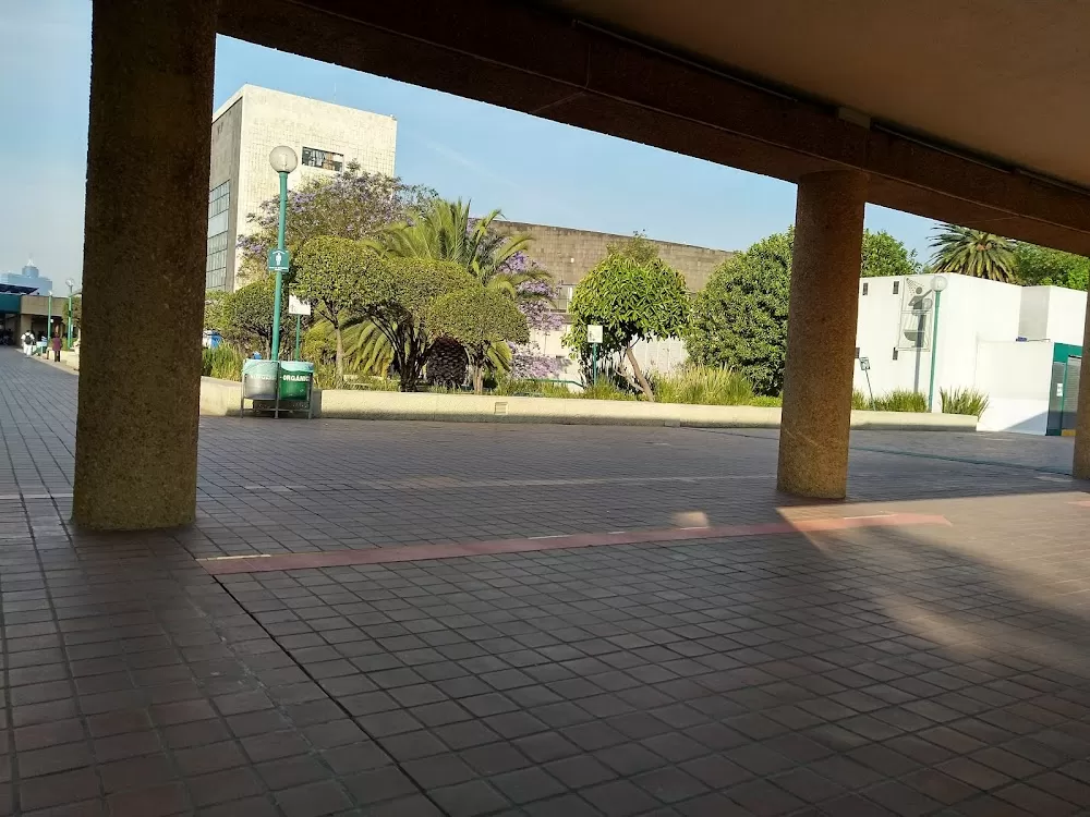 UMAE CMN IMSS Hospital de Pediatría - Photo 8