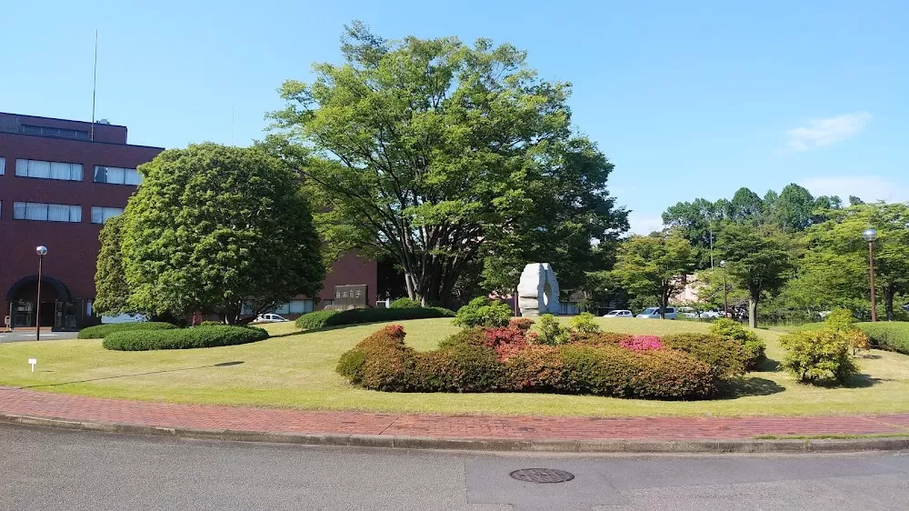 Tokyo Medical University Hachioji Medical Care Center - Photo 7