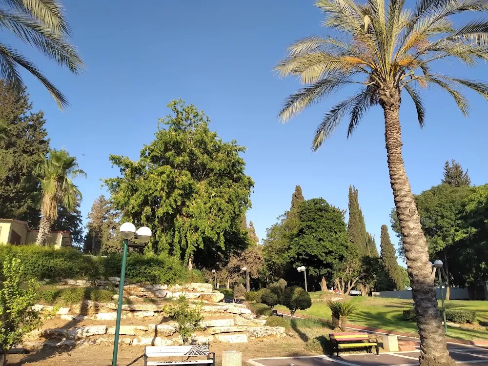 Mental Health Center in Be'er Ya'akov - Photo 7