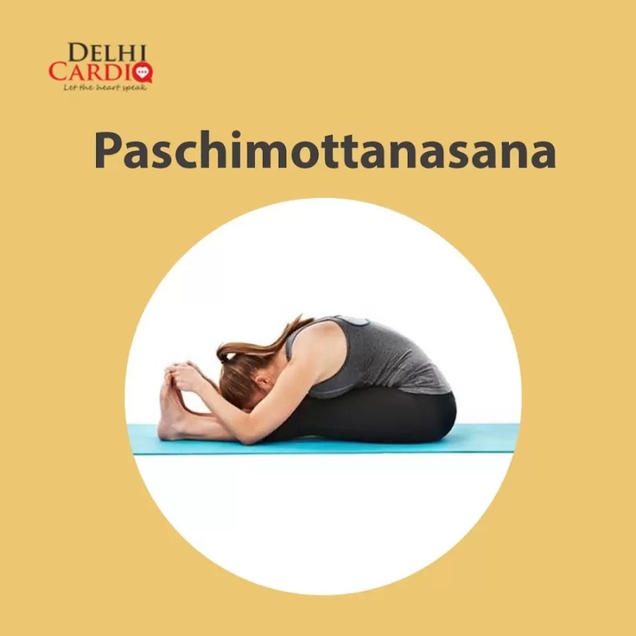 Delhi Cardio | Premium Cardiac Diagnostics at Home | Delhi NCR | North India - Photo 6