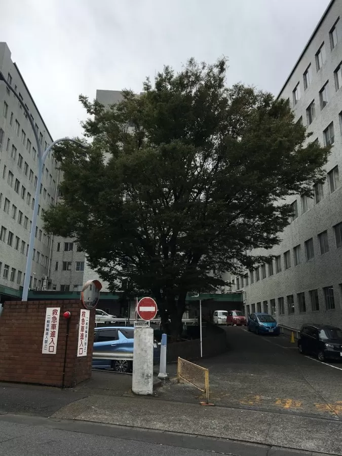 Nihon University Itabashi Hospital - Photo 4