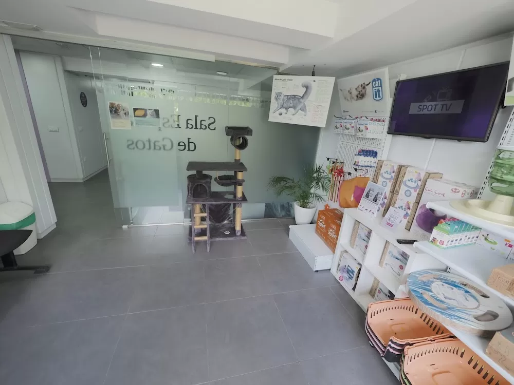 Estoril Veterinary Hospital - Photo 8