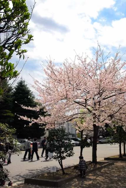 Sensoji Hospital - Photo 4