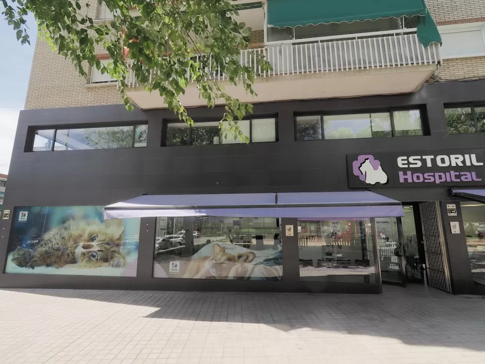 Estoril Veterinary Hospital - Photo 6
