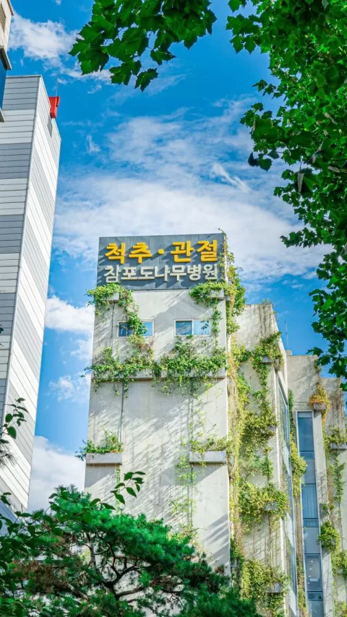 참포도나무병원 Champodonamu Hospital - Photo 1