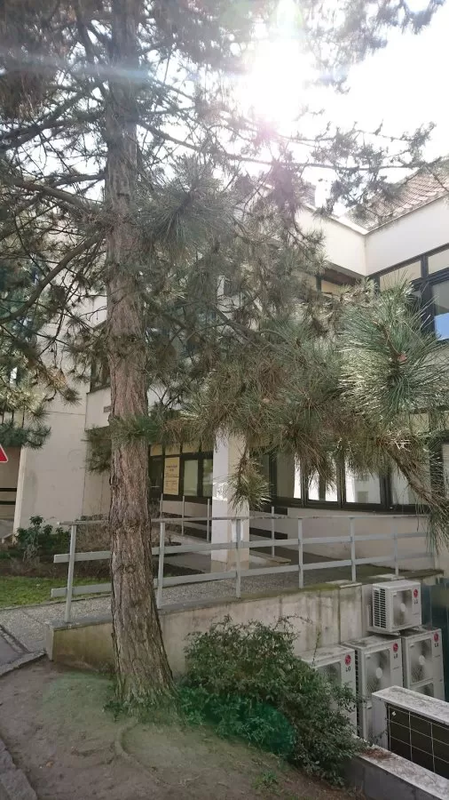Institute of rheumatology - Photo 6