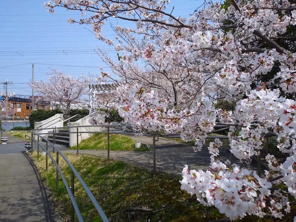 Kansai Rosai Hospital - Photo 8