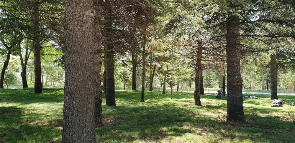 Başkent Üniversitesi Yapracık Psiko-Sosyal Rehabilitasyon Merkezi - Photo 5