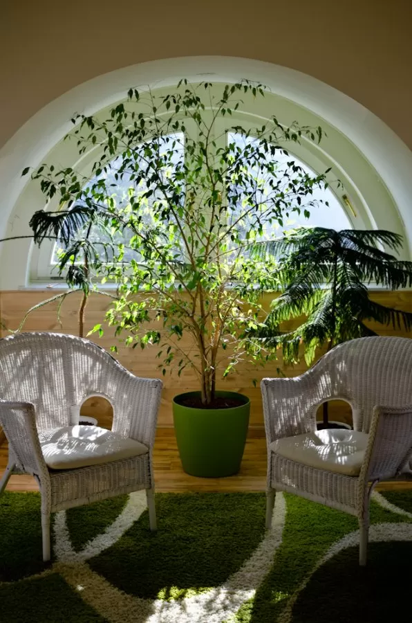VitaHelp - Integratív Egészségközpont - Photo 8