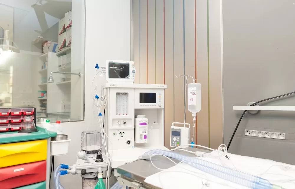 AniCura Aitana Hospital Veterinario - Photo 3