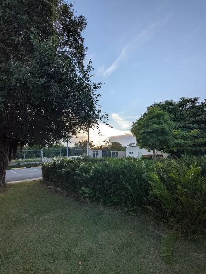 Centro de Atención Pediátrica Oscar De la Renta - Photo 3