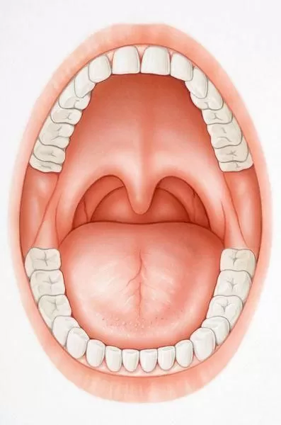 Jivan Hospital | ENT Specialist And ENT Surgeon in Vadodara | ENT Doctor And ENT Hospital in Vadodara - Photo 3