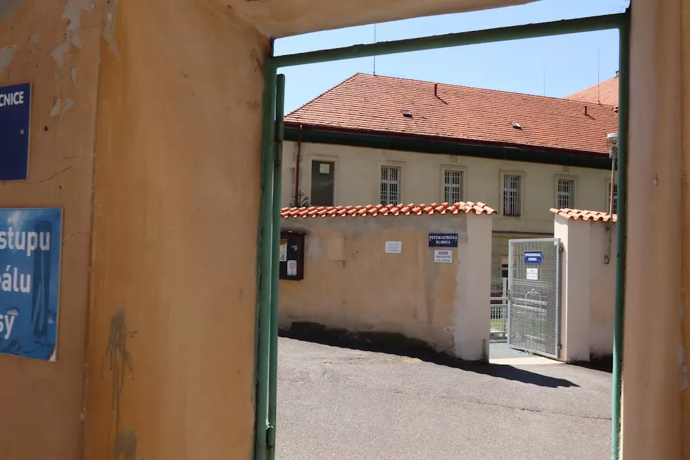 Psychiatric Clinic, 1st Medical Faculty, Charles University - Photo 8