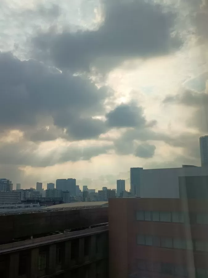 東京女子医科大学病院中央病棟 - Photo 7