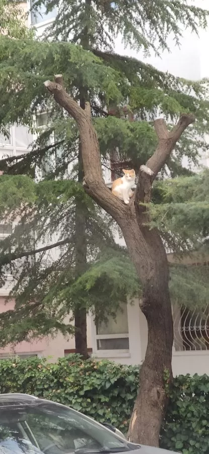 Özel Ondokuz Mayıs Hastanesi - Photo 2