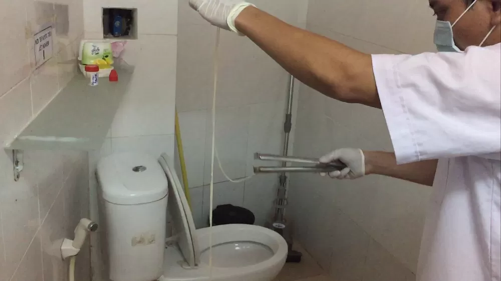 Clinic parasites Anh Nga - Photo 1