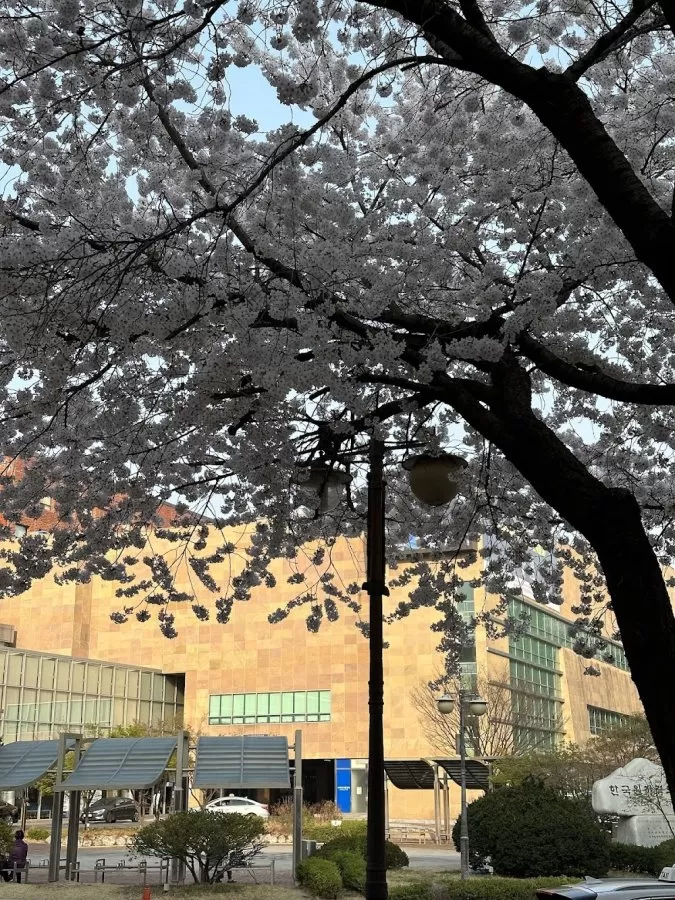 Korea Nuclear Medical Center Nuclear Hospital - Photo 1