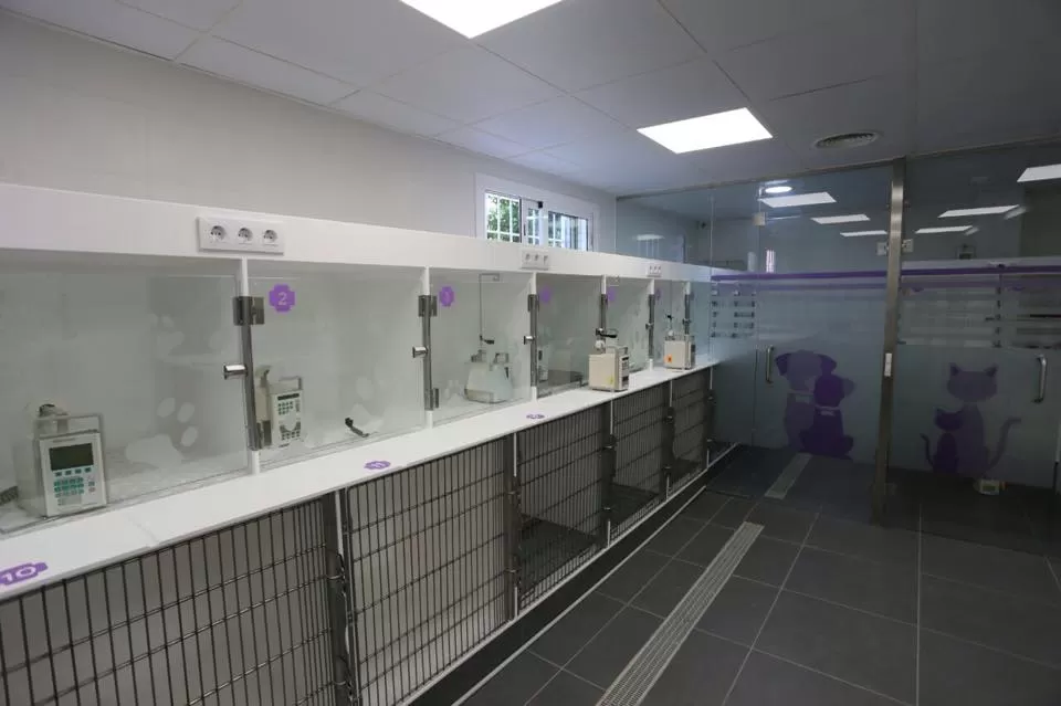 Estoril Veterinary Hospital - Photo 5