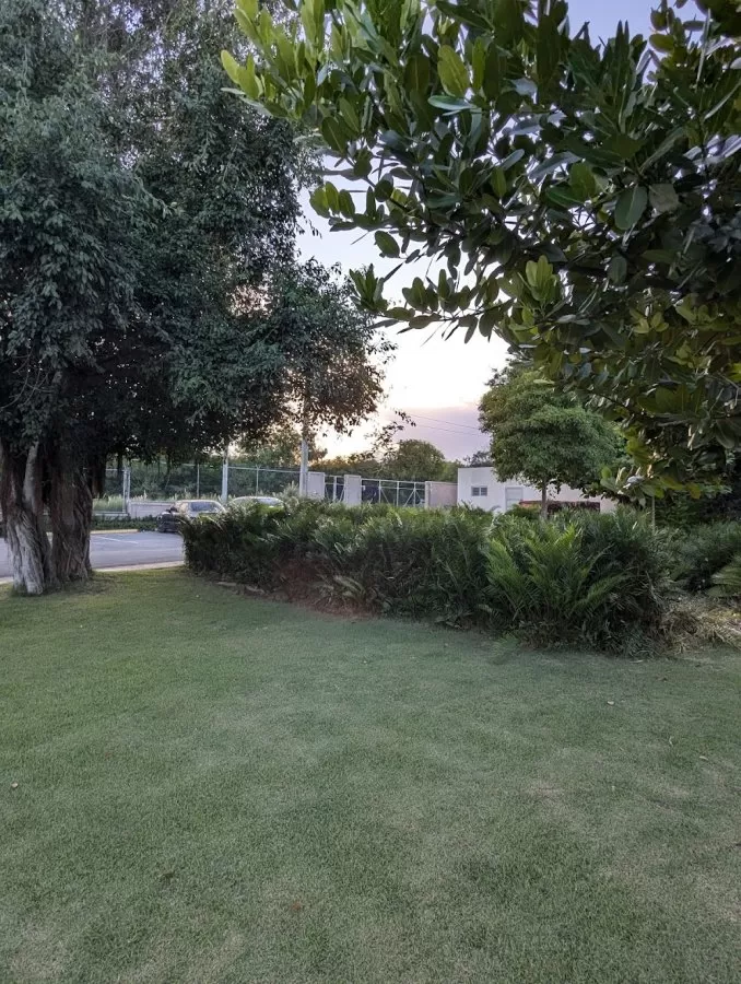 Centro de Atención Pediátrica Oscar De la Renta - Photo 2