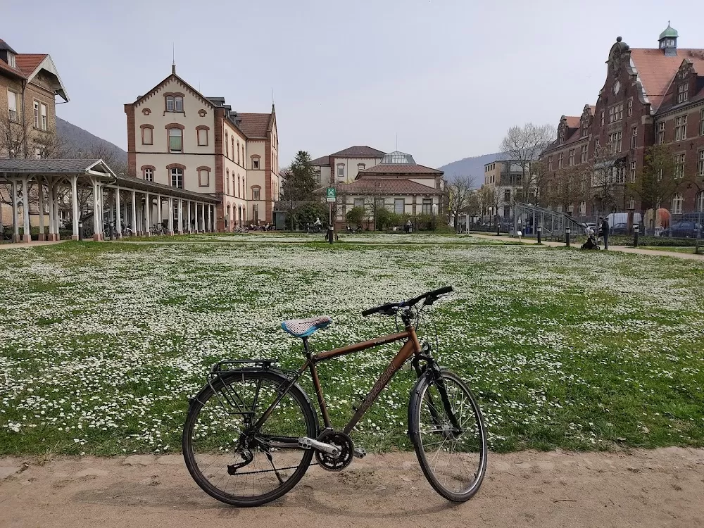 Psychiatrische Klinik Heidelberg, Station Frühbehandlungszentrum - Photo 2