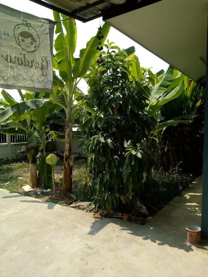 Pichchanichadaw - Photo 1