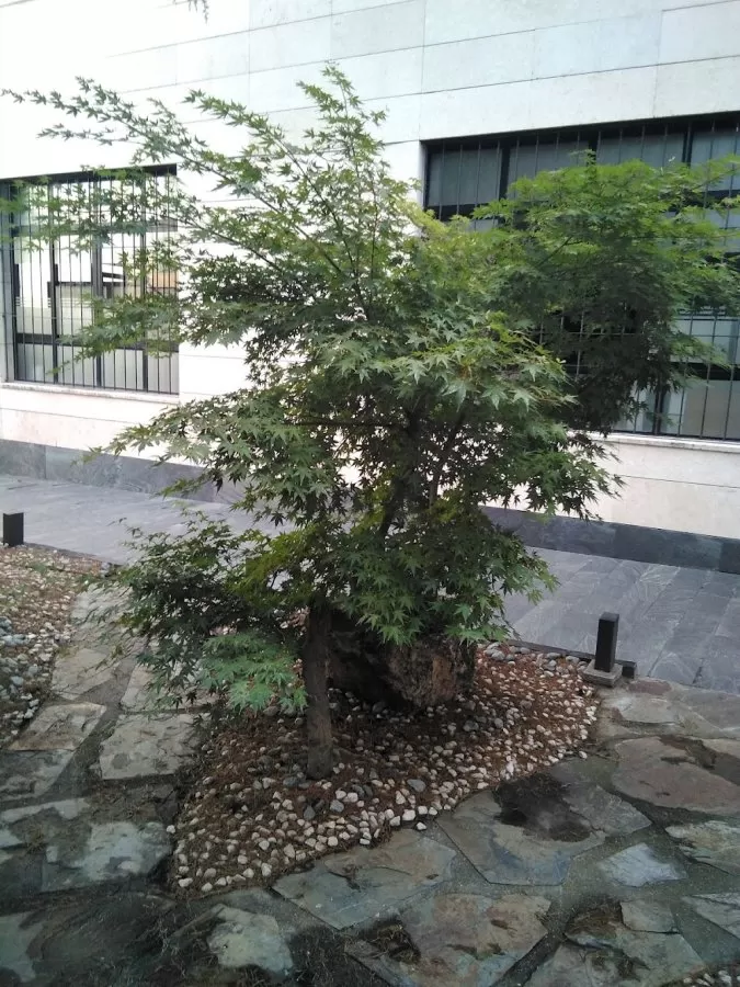 Madrid Institute of Traumatology - Photo 6