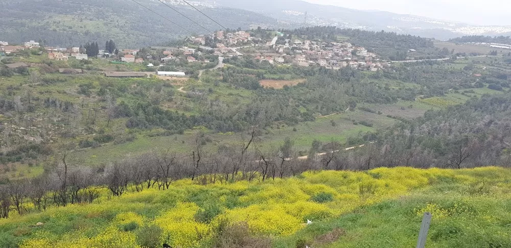 בית חולים איתנים - Photo 2