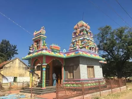 raouli camp - Photo 3