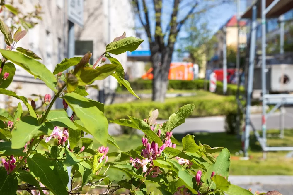 Sana Klinikum Lichtenberg | Frauenklinik Gynäkologie - Photo 3