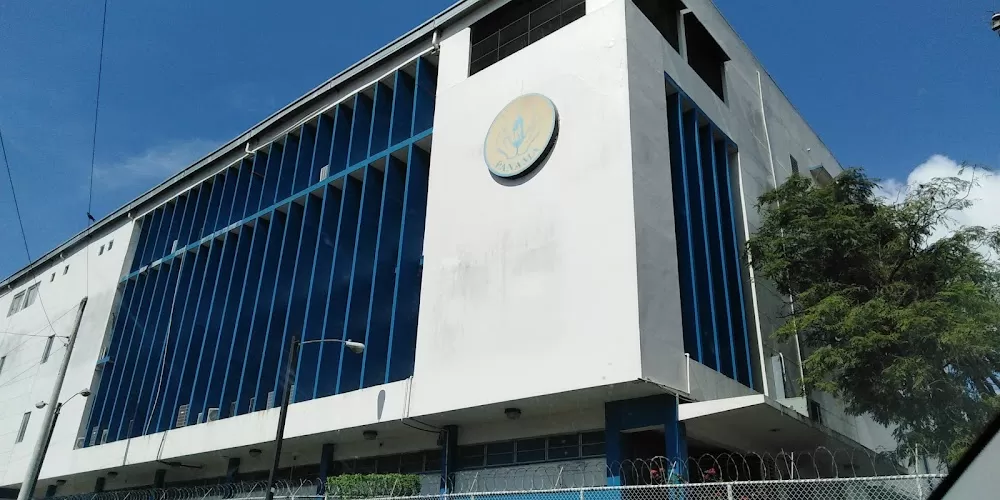 Polyclinic Dr. Manuel Ferrer Valdes - Photo 7