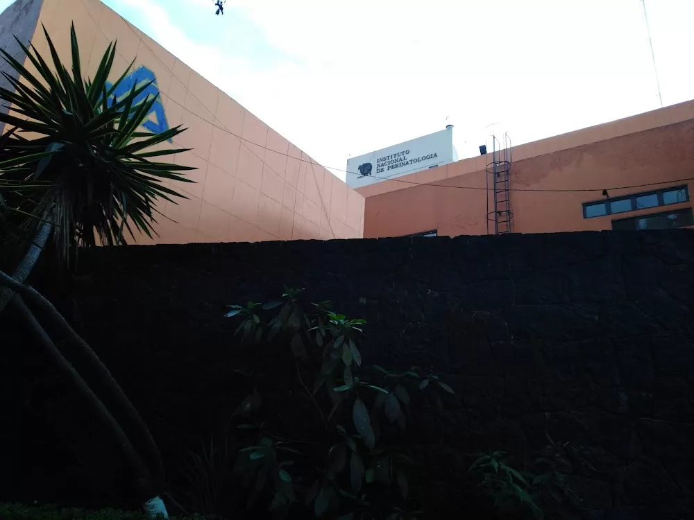 Instituto Nacional De Perinatologia - Photo 6