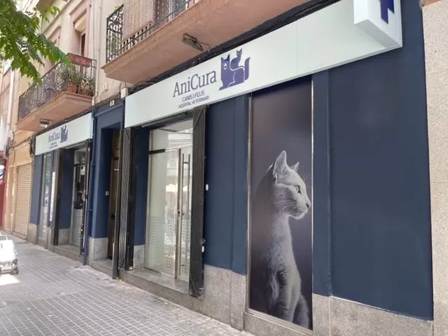 AniCura Canis i Felis Hospital Veterinari - Photo 2